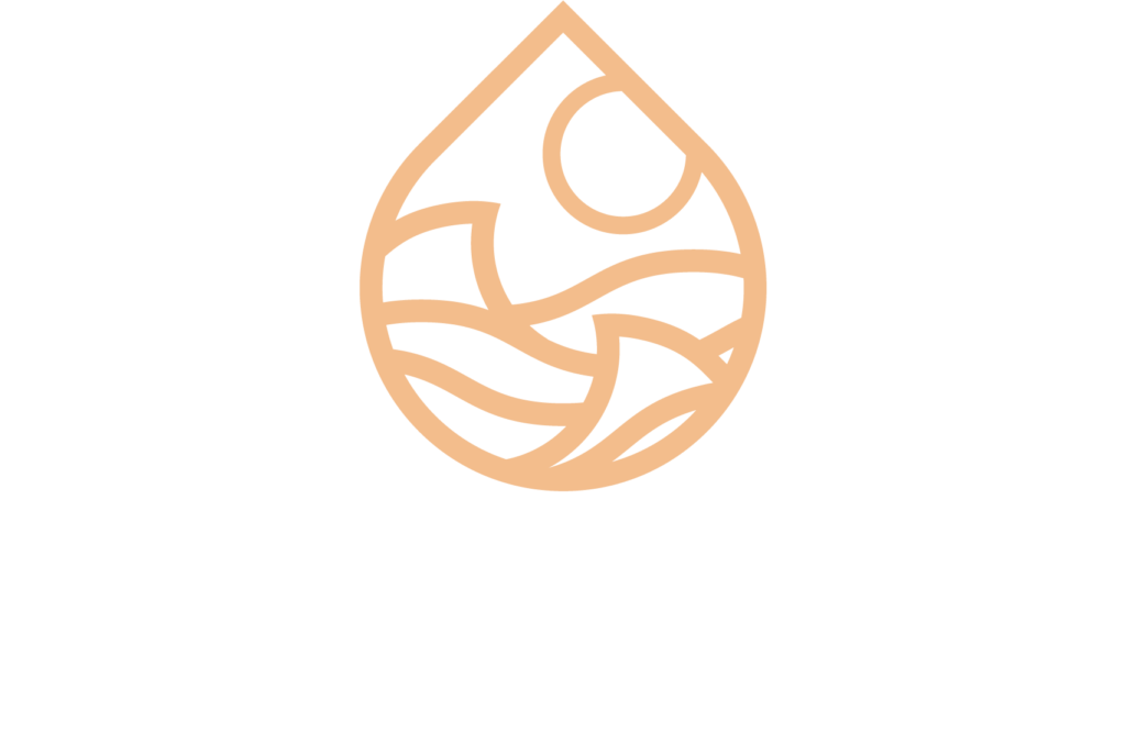 Citidrips Logo